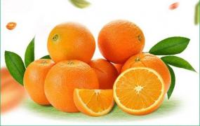 怎么挑选橙子那种好吃