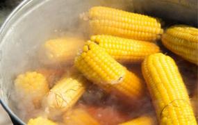 玉米下锅要煮几分钟