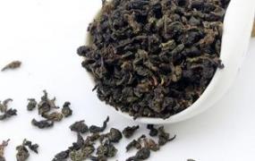 铁观音乌龙茶是属于浓茶吗