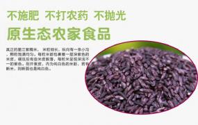 紫米产地