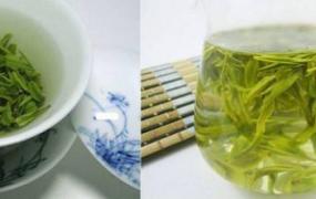 龙井茶饮用方法