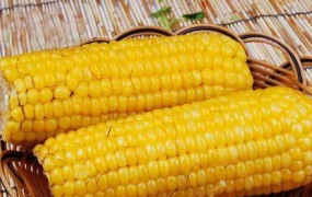 玉米长时间保鲜的办法
