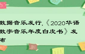 数据音乐发行,《2020华语数字音乐年度白皮书》发布