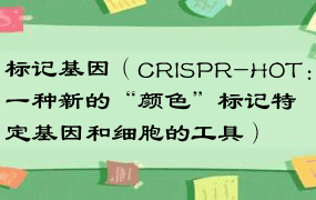 标记基因（CRISPR-HOT：一种新的“颜色”标记特定基因和细胞的工具）