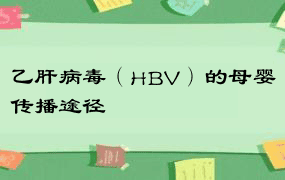 乙肝病毒（HBV）的母婴传播途径