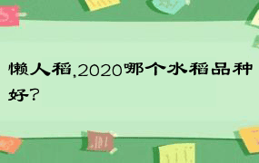 懒人稻,2020哪个水稻品种好？