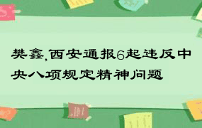 樊鑫,西安通报6起违反中央八项规定精神问题