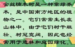 金丝楠木树是一种常绿乔木，是中国南方地区的植物之一。它们常常生长在山林中，由于它们树干粗壮、树冠宽阔，因此也经常用于造林和庭园绿化。