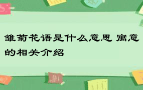 雏菊花语是什么意思 寓意的相关介绍