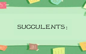 SUCCULENTS：