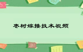 枣树嫁接技术视频
