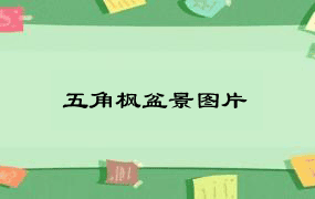 五角枫盆景图片