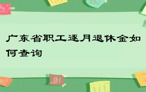 广东省职工逐月退休金如何查询