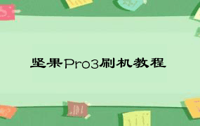 坚果Pro3刷机教程