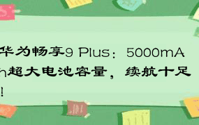 华为畅享9 Plus：5000mAh超大电池容量，续航十足！